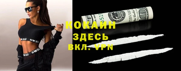 spice Арсеньев