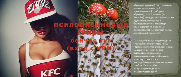 spice Арсеньев