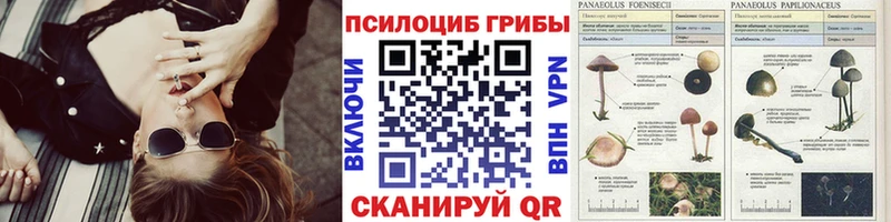Псилоцибиновые грибы GOLDEN TEACHER  где купить   Мытищи 