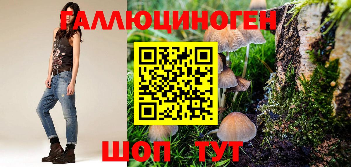 Галлюциногенные грибы Psilocybe  Вход с VPN  Галлюциногенные грибы GOLDEN TEACHER  Мытищи 